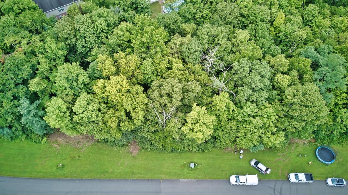 bright Indiana Real Estate For Sale