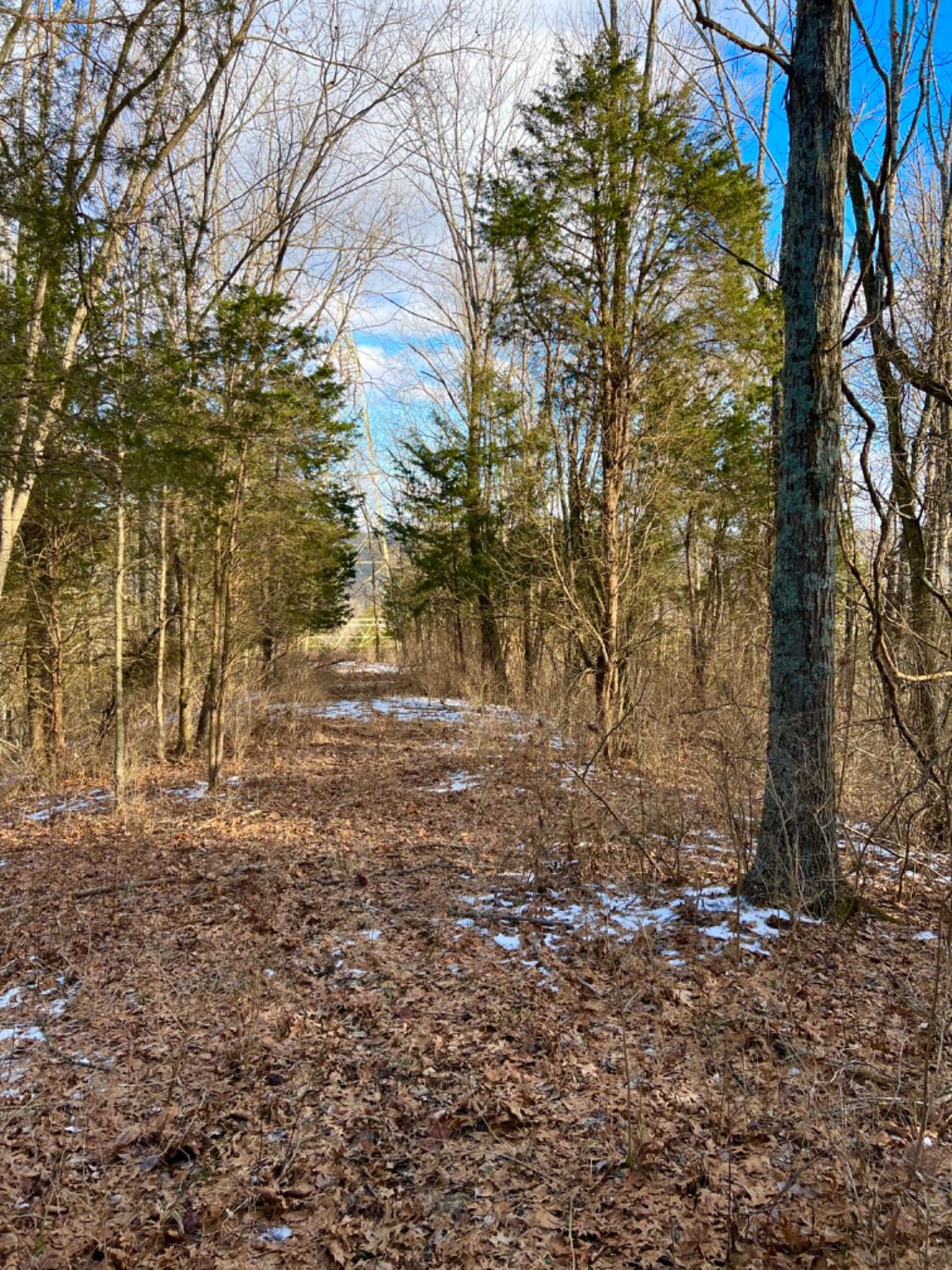 603 Lick Skillet Road
